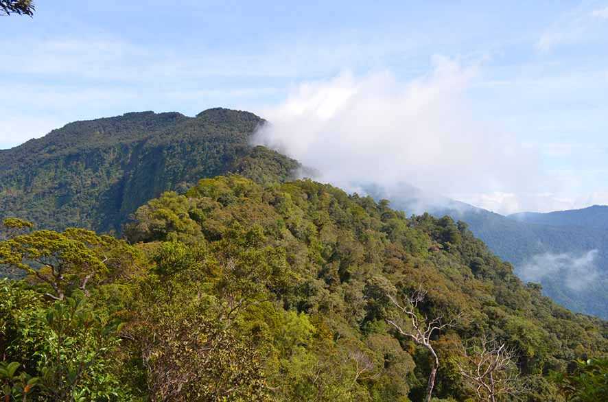 Gunung Bukit Raya