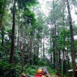 Tempat Wisata Di Jonggol Yang Lagi Hits
