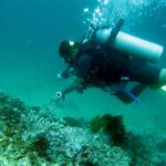 Diving Spot Terbaik Di Trawangan
