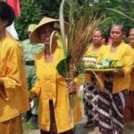 Kehidupan Liar Unik Sumatera Selatan