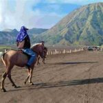 Menunggang Kuda Di Sekitar Bromo