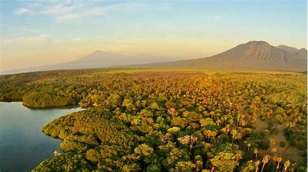 **petualangan Seru Di Taman Nasional Baluran**