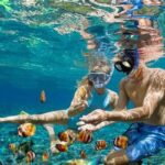 **spot Snorkeling Populer Kupang**