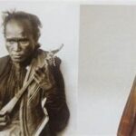 Warisan Budaya Batak Toba