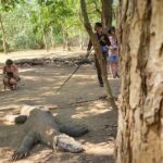 Bertemu Kadal Raksasa Di Komodo