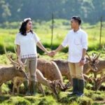 Destinasi Alam Terpencil Bagi Pasangan