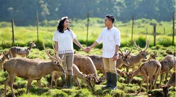 Destinasi Alam Terpencil Bagi Pasangan