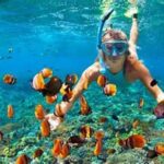 Destinasi Snorkeling Terbaik Di Indonesia