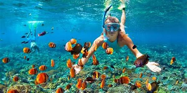 Destinasi Snorkeling Terbaik Di Indonesia