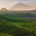 Destinasi Wisata Dataran Tinggi