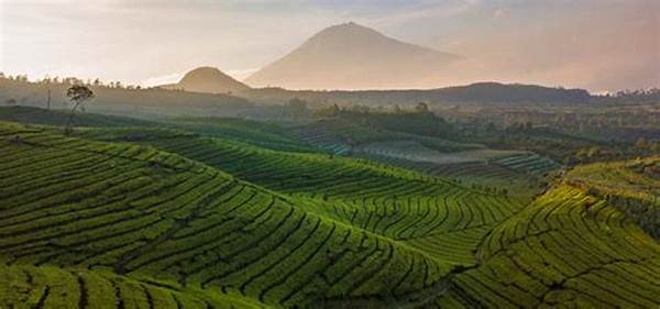 Destinasi Wisata Dataran Tinggi