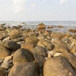 Ekosistem Pantai Berbatu Bako