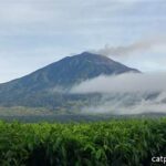 Flora Dan Fauna Gunung Kerinci