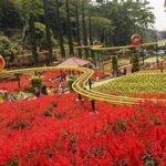 Flora Dan Fauna Taman Selecta