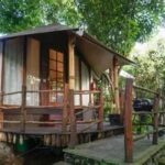 “glamping Mewah Di Batu”