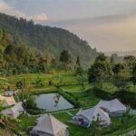 “glamping Nyaman Di Bukit Mercury”