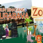 Harga Tiket Kebun Binatang Surabaya