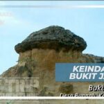 Jelajah Alam Bukit Jamur Gresik