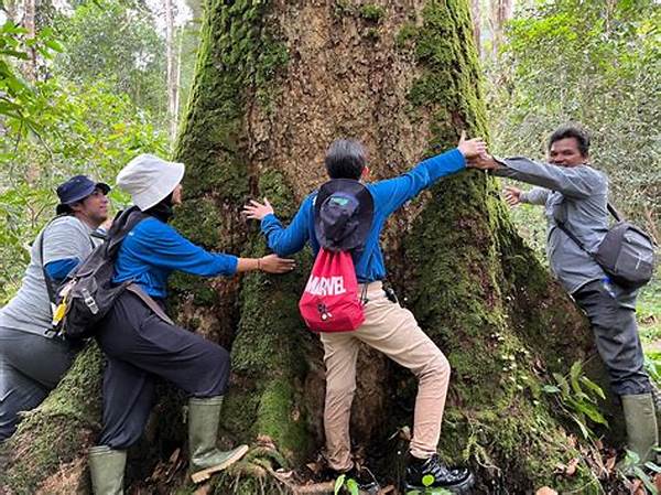 Jelajah Hutan Wanayasa