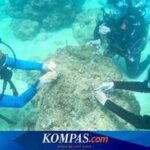Keindahan Terumbu Karang Kupang