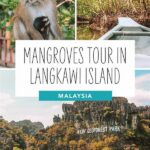 Kekayaan Flora Fauna Langkawi