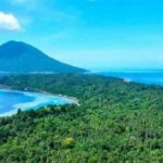 Keragaman Spesies Laut Bunaken