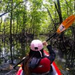 Menjelajah Mangrove Dengan Kayak