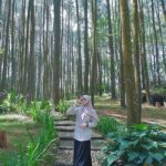 Rute Hiking Hutan Pinus