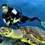 Surga Penyelam Di Indonesia
