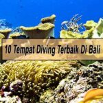 Tempat Diving Terbaik Di Bali