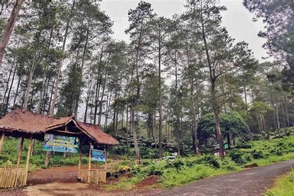 Tempat Wisata Alam Di Tasikmalaya Yang Lagi Hits