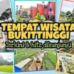 Tempat Wisata Terbaru Bukittinggi