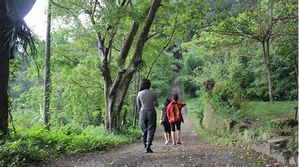Trekking Asyik Di Alam Cibedug