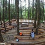 Wisata Hutan Pinus Kalibiru Yogyakarta