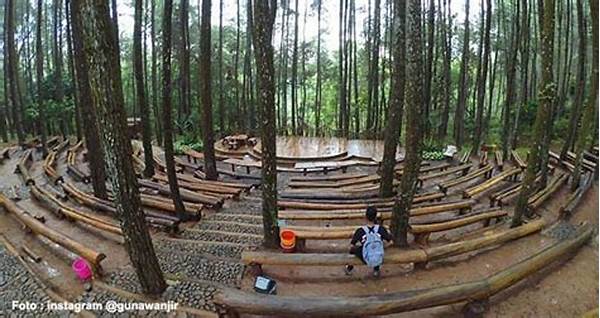 Wisata Hutan Pinus Kalibiru Yogyakarta
