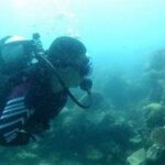 Aktivitas Menyelam Di Belitung Timur