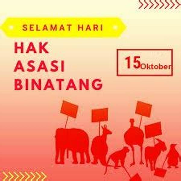 Edukasi Masyarakat Tentang Hak-hak Hewan