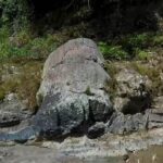 Fosil Peninggalan Purba Sumatera