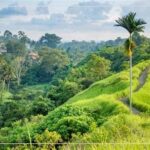 Gianyar Tempat Wisata Di Ubud Yang Lagi Hits