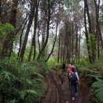 Jalur Trekking Hutan Pupuan