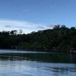 Jelajah Hutan Mangrove Lampung
