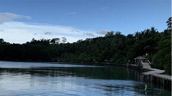 Jelajah Hutan Mangrove Lampung