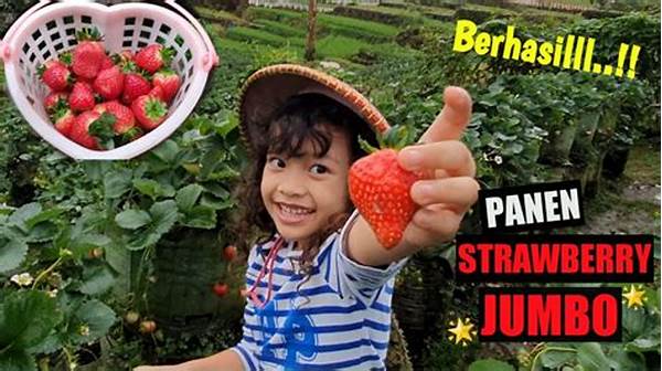 Kebun Strawberry Petik Mandiri Ciwidey