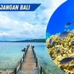 Keindahan Bawah Laut Pulau Menjangan