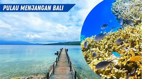 Keindahan Bawah Laut Pulau Menjangan
