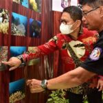 “keindahan Taman Laut Gorontalo”