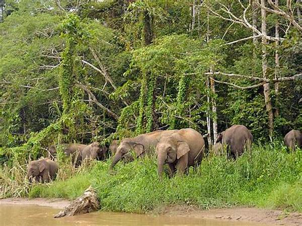 Keragaman Hayati Taman Nasional
