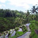 **pemandangan Indah Ubud Bali**