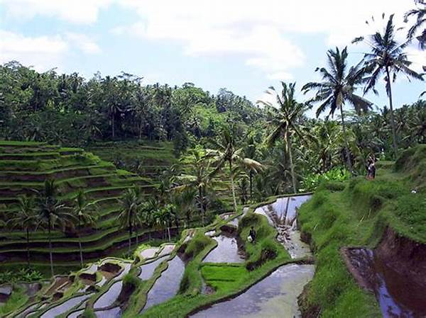 **pemandangan Indah Ubud Bali**