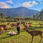 Petualangan Trekking Di Ciwidey